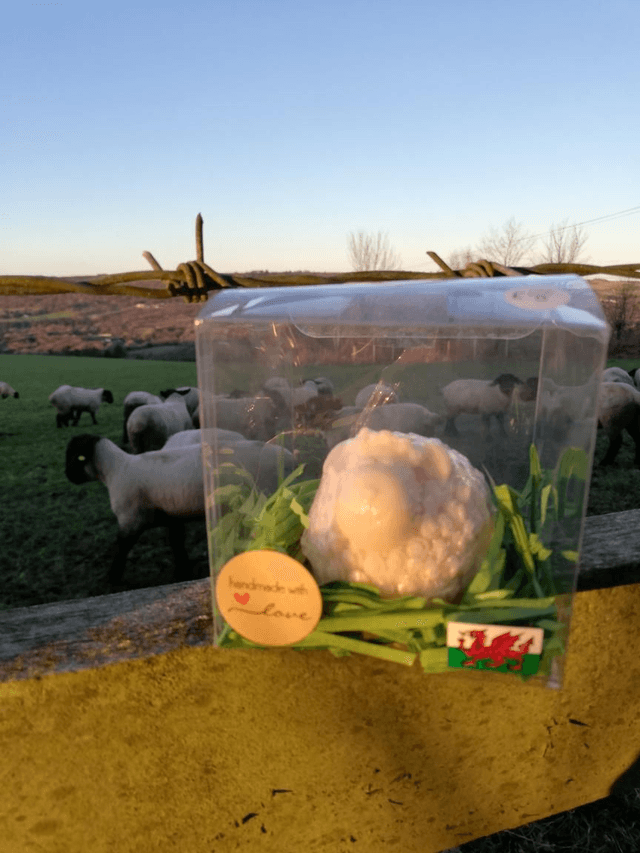 Sheep Soap 