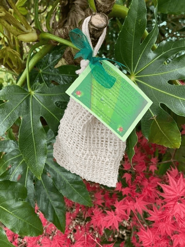 Natural Travel Bag and Soap 