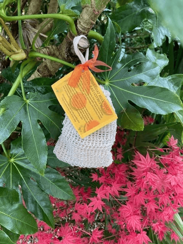 Natural Travel Bag and Soap 