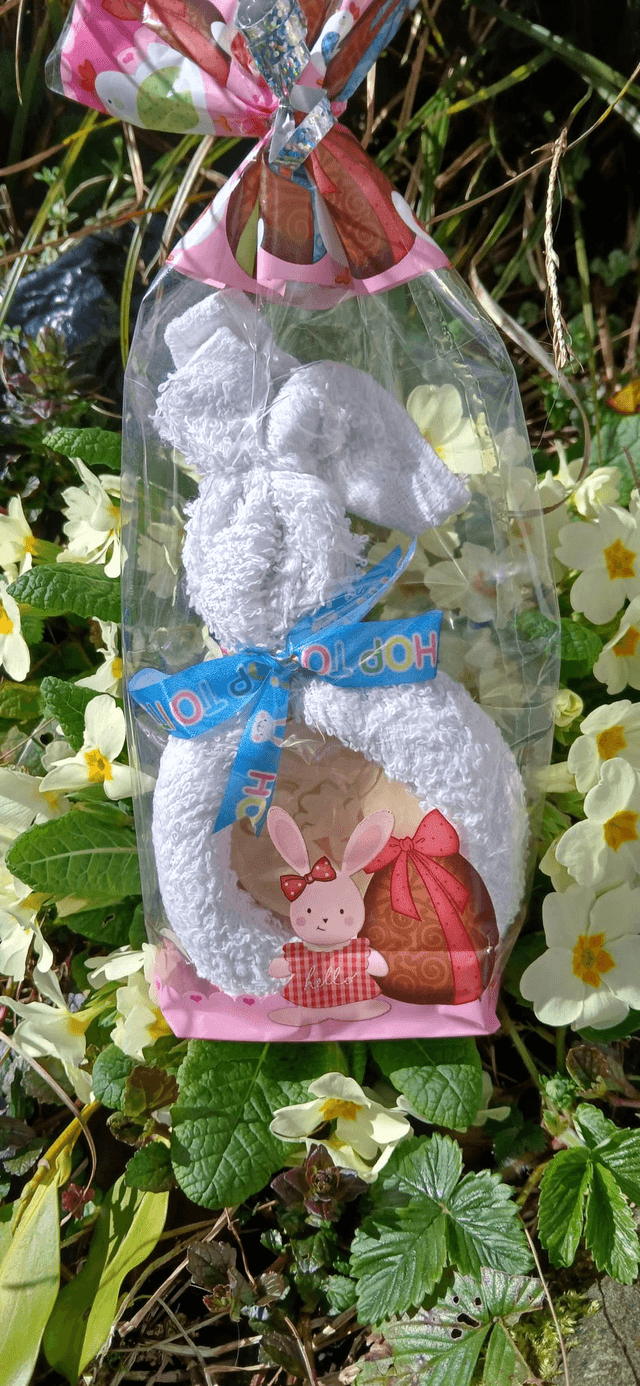 Flannel Bunny and Soap