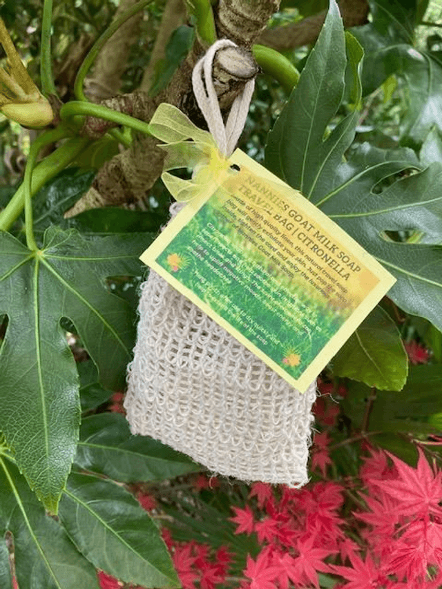 Natural Travel Bag and Soap 