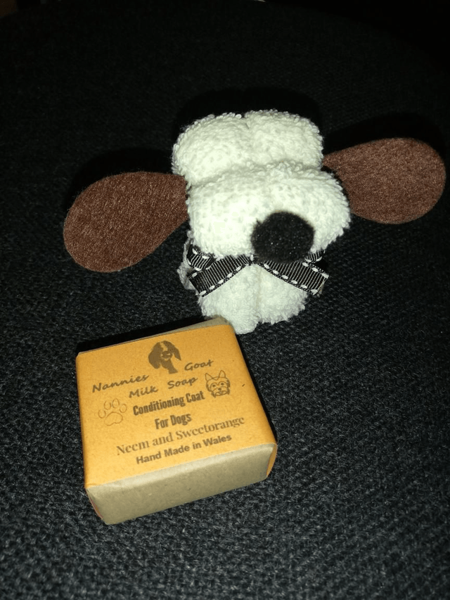 Dog Soap Gift Box