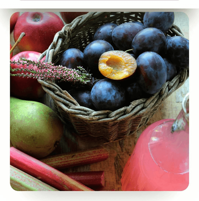 Plum & Rhubarb Candle