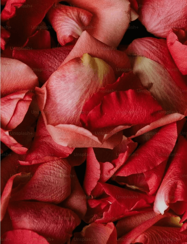 Rose Soap
