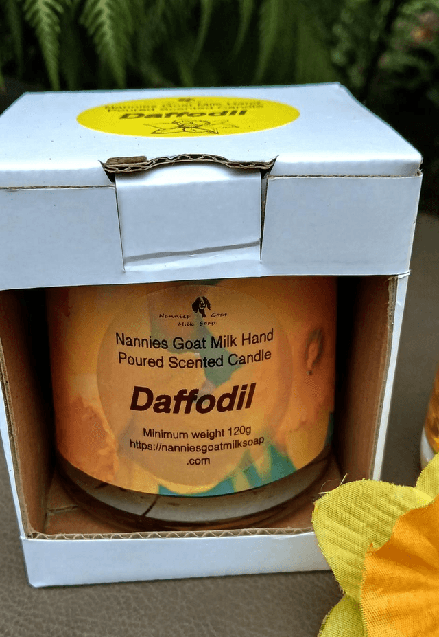 Daffodil Candle 